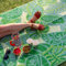 Talking Tables Outdoor Rugs, Polypropylen, grün