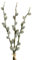Floratexx Künstlicher WEIDENKÄTZCHEN Bund ca 47cm. Kätzchenweide, Palmkätzchen-Zweige., Braun