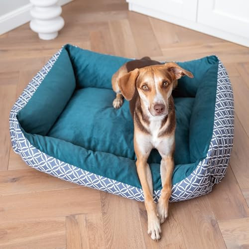 4L Textil OTTO Katzenbett flauschig Katzenkörbchen Katzensofa Kuscheliges Hundebett kleine Hunde Katzenkorb waschbar Hundekorb für Welpen Petrol (60x40 cm, Türkis)