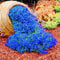 Luojuny Semi di crescione, 700 Pezzi Piantare Semi Paesaggio produttivo Pianta da Giardinaggio Naturale Semi di crescione di Roccia Forniture da Giardino Blu