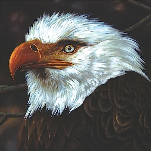 The Hawk Is Howling (Ltd. White Col.