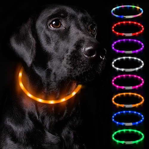 Nepfaivy Leuchthalsband Hund USB Aufladbar - Wasserdichtes Hundehalsband Leuchtend mit Verstellbarer Länge, LED Halsband für Hunde mit 3 Beleuchtungsmodi für Sicherheit, Orange