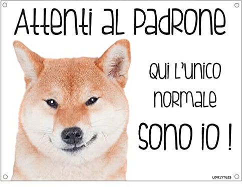SHIBA INU Attenti al padrone qui l'unico normale sono io! CANE CARTELLO TARGA IN METALLO (15X20)