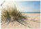 ARTLAND Wanddeko Poster & Kunstdrucke Wandposter Strand Meer Dünen Küste Meerblick Sommer Sonne Himmel Gräser S9ZI