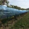 arkin Handelskontor Vogelschutznetz 2,57 x 10m blau Gartennetz Insektenschutznetz Laubnetz