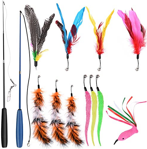 GOLDGE Jouet à Plumes pour Chats 13PCS, Rétractable Canne a Peche Jouet 2 bâtons de Baguette avec 11 Plumes de Remplacement Recharges, Interactifs pour l'intérieur Chats et Chatons