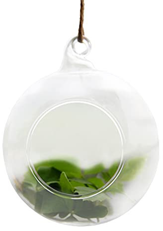 ASSR 2-Pack Hanging Glass Terrariums, Round Clear Hanging Ball Flower Pot with Ropes, Air Plants Hanging Containers Plant Terrarium Globes, 3.9 Inch