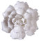 Levemolo Ceramic Art Wanddekoration Peonien Blumen Wandbehang Für Wohnzimmer Und Büro Künstliche Wandblumen Weiß Große Stilvolle Wandgestaltung Für Zuhause