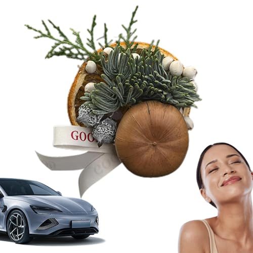 Moreeulsi Auto-Pflanzen-Lufterfrischer, kleine künstliche getrocknete Blumen, Lüftungsschlitz-Clips, multifunktionale Auto-Parfüm-Dekoration mit Tannenzweigen und Tannenzapfen für den Innenbereich