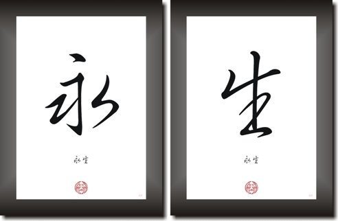 Unbekannt EWIGES Leben asiatische Schriftzeichen Symbole Asia Signs Bilder Kunstdrucke Poster Set mit Kalligraphie Zeichen