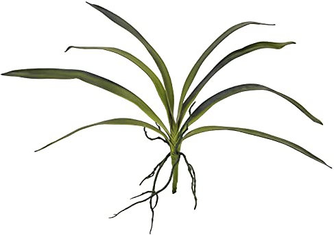 EUROPALMS Orchideenblatt (Eva), künstlich, grün, 45cm | Soft-Touch-Orchideenblätter mit Wurzeln