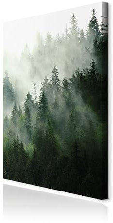 decomonkey Bilder Wald 60x90 cm 1 Teilig Leinwandbilder Bild auf Leinwand Vlies Wandbild Kunstdruck Wanddeko Wand Wohnzimmer Wanddekoration Deko Natur Landschaft