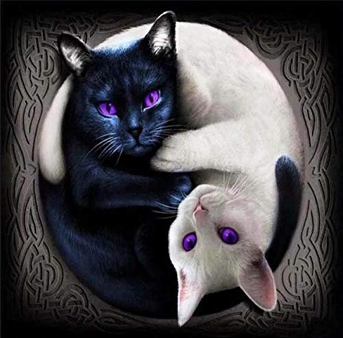 WJYYUD 5D Diamond Painting Set Yin Yang Cat Diamant Full Malerei Bilder Kinder Erwachsene Malen nach Zahlen Strass Mosaik Kreuzstich Kunst Wand-Dekor 30x40cm Rahmenlos