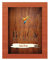 Holzbeize Möbelbeize Trockenbeize Beize Pulverbeize f. 2-3m² große Farbauswahl, Farbe:lachs