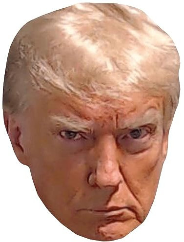 Donald Trump (Mug Shot) Celebrity Mask, Flat Card Face, Fancy Dress Mask