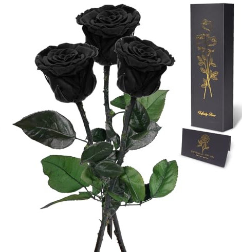 Yamonic Infinity Rose mit Stiel Geschenke für Frauen,Echte Rose Geburtstagsgeschenk für Frauen Ewige Rose in Geschenkbox Geschenke für Mama,Konservierte Blume zum Weihnachten, Deko Geschenk, 3 Rosen