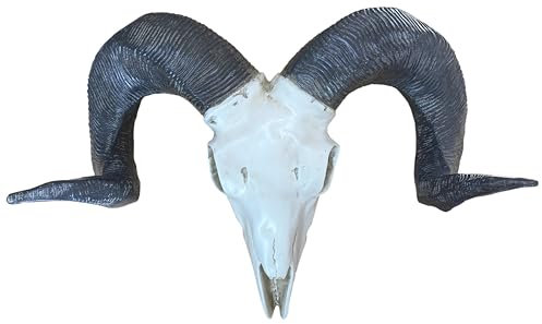 Sheep Skull Wall Mount Sculpture, Large Horn Ram Hanging Animal Head Ornament Figure Art Décor Resin with Vintage Ivory Finish, Wildlife Indoor Outdoor Decorative Accessories, Gift (Sheep Skull)