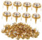 OSALADI 100 Pièces Bijoux En Strass En Forme De Filles Clou Rivets Pointe Cristaux Bricolage Diamant Bijoux à Ongles En Métal Rivet Pour Vêtements Rivet Alliage Doré
