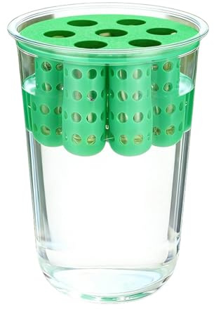 Scallion - Vaso idroponico trasparente, 20 x 10 cm, scatola per la propagazione di cipolle verde, stazione riutilizzabile, kit da giardino per davanzale, per cucina, casa, patio, crescita delle radici