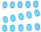 SHATCHI 30ft/9m Fabric Scotland St Andrew's Saltire Scottish Rugby Bunting 30 Flags Football Cricket Support Decorations World Cup Support Banner Blue and White Cross SHATCHI - 1107