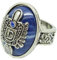 Multi-Species Store-BUYINHOUSE Vampire Diaries Daylight Walking Siegelring Damon