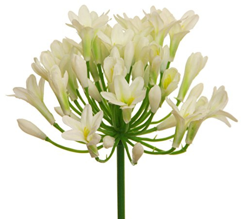 Kunstblumen AGAPANTHUS ca 75 cm. Liebesblumen, Schmucklilie. Creme -02