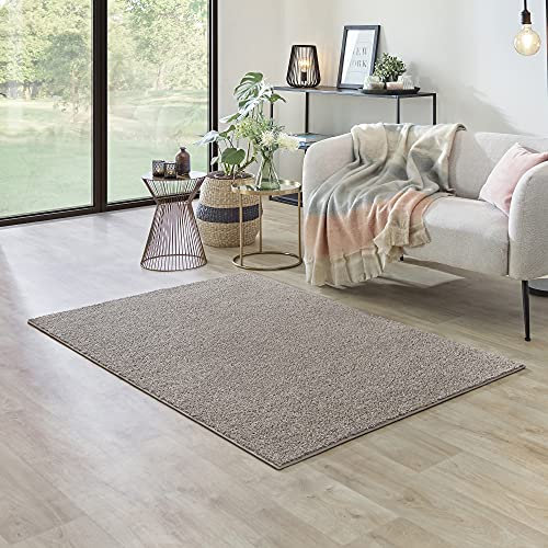 Carpet Studio Ohio Teppich Wohnzimmer 115x170cm, Weicher Kurzflor Teppich, Wohnzimmer, Esszimmer & Schlaffzimmer, Pflegeleicht, Geruchsneutral - Beige