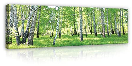 WallArena Leinwand Bilder 145x45 cm
