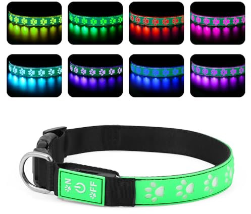 Brifit Leuchtendes Hundehalsband Wasserdicht, LED Leuchthalsband Hund Aufladbar mit 8 Farbwechsel & 6 Leuchtmodi, Einstellbar Blinklicht Sicherheit Halsband, für Kleine Mittlere Hunde (Grün, S)