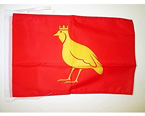 AZ FLAG Flagge Provinz Aunis 45x30 cm Polyester 100D Kordeln