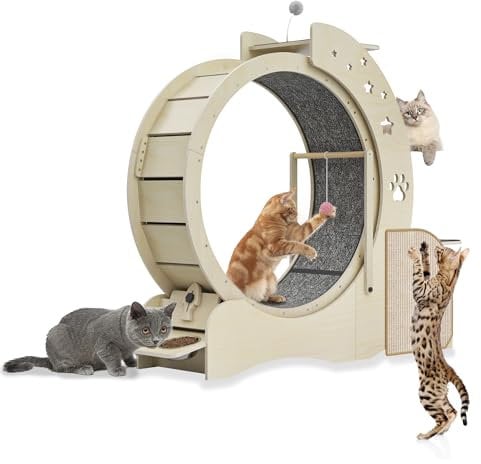 Julymoda Großes Katzenlaufrad Φ80cm, 5 in 1 Katzenrad Mit Katzhaus, Spielstation, Kratzpads, 2 Näpfen Und Spielzeug - Laufrad Mit Schloss Für Wohnungskatzen