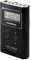 Sangean DT-180 Portable Numérique Noir Radio Portable - Radios Portables (Portable, Numérique, AM,FM, 87,5-108 MHz, 520-1710 kHz, LCD)