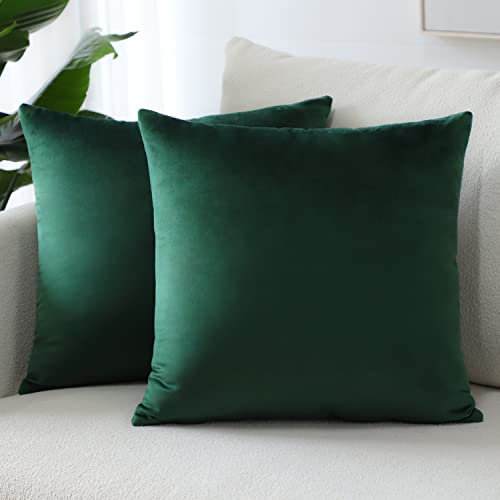Sungeek Confezione da 2 Federe in Velluto, Fodere per Cuscini Decorativi Morbidi Copricuscini Divano di Lusso per Divano Letto Soggiorno Camera da Letto (50x50cm, Verde Scuro)
