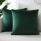 Sungeek Confezione da 2 Federe in Velluto, Fodere per Cuscini Decorativi Morbidi Copricuscini Divano di Lusso per Divano Letto Soggiorno Camera da Letto (50x50cm, Verde Scuro)