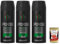 3x Axe, Original Africa Deodorant Spray, absorbiert Schweiß, 150 ml Flasche+ Italian gourmet polpa 400g