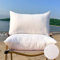 QSWRD 30x50 cm Outdoor Wetterfest Kissenfüllung 2er Set wasserdichte Kissen Gartenmöbel Dekokissen Innenkissen Kopfkissen Federkissen Zierkissen für Sofa Terrasse Balkon Wohnzimmer Cushions Weiß