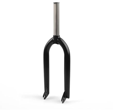 Generico Compatibile con Biciclette BMX universali da 20 Pollici, Forcella Anteriore cromata CR-MO, Forcella Sostitutiva BMX ad Alte Prestazioni Leggera da 28,6 × 163 mm(Oil)