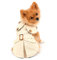 PAIDEFUL Hundemantel für kleine Hunde, Mädchen, Jungen, Winddicht, modisch, Westernjacke, mit Gürtel, Oberbekleidung für Herbst und Winter, Hundekleidung für Welpen, Chihuahua, Yorkie, Khaki, Größe M