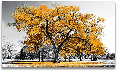 Rumlly Große Größe Gelbes Blatt Großer Baum Schwarz Weiß Bild Gedruckt Leinwand Malerei Für Wohnzimmer Büro Wandkunst Dekor Poster 40x60cm Rahmenlos