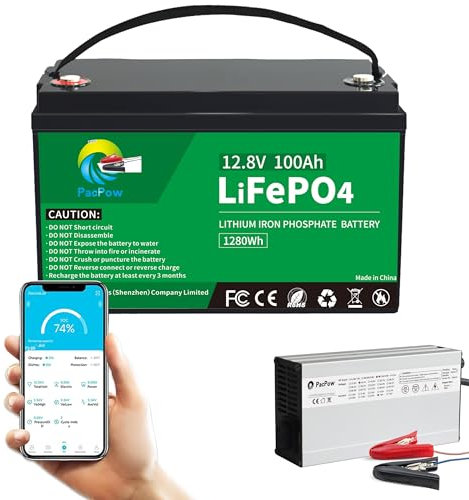 PacPow 12V 100Ah LiFePO4 Lithium Batterie Bluetooth mit 14,6V 10A Ladegerät REPT Zellen JBD 100A BMS, 5000+ Zyklen Wohnmobil Boot Solaranlage Wohnwagen Solar Haushalt (DE 12V 100Ah)