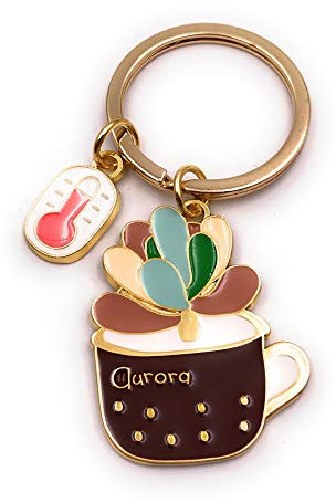 Onwomania Kaktus Pflanze braun Schlüsselanhänger Metall Glücksbringer in Alu Geschenkbox, ideal zum Verschenken