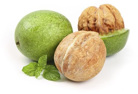 nogal resistente - semillas semillas de nuez Semillas de variedades antiguas semillas de nogal Plantas de balcón resistentes Nueces, plantas resistentes para el jardín plantas verdes 3pcs