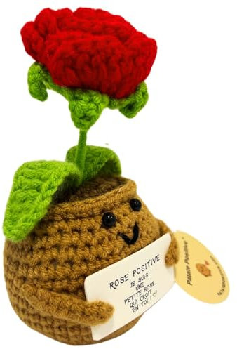 Rose Rouge Positive© | Cadeau Amour & Tendresse | pour Elle | I Love You | Idee & Surprise Romantique | Fete Anniversaire & Merci | Femme Fille Copine Maman Mere Amie Couple | Deco Maison Handmade