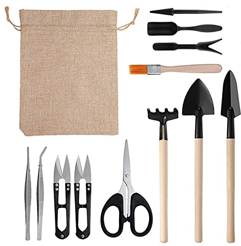 Zerodis 13PCS Succulent Transplanting Kit Stainless Steel Gardening Tools Set for Indoor Plants Mini Garden Planting Tools with Scissors Rake and Shovels