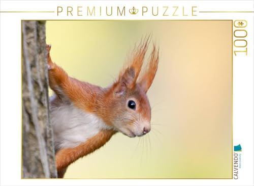 CALVENDO Puzzle Eichhörnchen | 1000 Teile Lege-Größe 64 x 48 cm Foto-Puzzle für glückliche Stunden