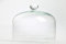 Edwanex Display Glas Kuchen Cupcake Dome Cover Cloche Ø 29,5 cm