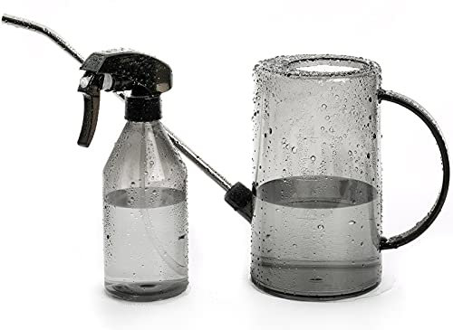Gießkanne für den Innenbereich, kleine Gießkannen für Zimmerpflanzen, Sukkulenten und Blumen, Langer Auslauf, 1 Liter, mit Bonus Pflanzennebel Sprühflasche