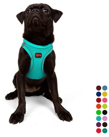 Air-Mesh Brustgeschirr für kleine und mittelgroße Katzen und Hunde – Weich, Atmungsaktiv, Strapazierfähig (Türkis, M (Brustumfang 53–59cm))