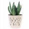 B2C Indoor Plant Pots with Insert Plastic Flowerpot Small Large Planter Home Decor Wavy Grooves Texture Removable insert (Cream, 26m)