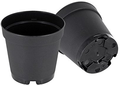 GREEN24 50 Runde Mini Pflanztöpfe Ø 5,5 cm Anzuchttöpfe Pflanztöpfe Blumentöpfe Saattöpfe runde Töpfe (50 Stück)